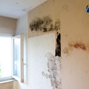 damp proofing london qr56gps7um1u9xo4c1e9scn1xruaubr2ululcyumd4